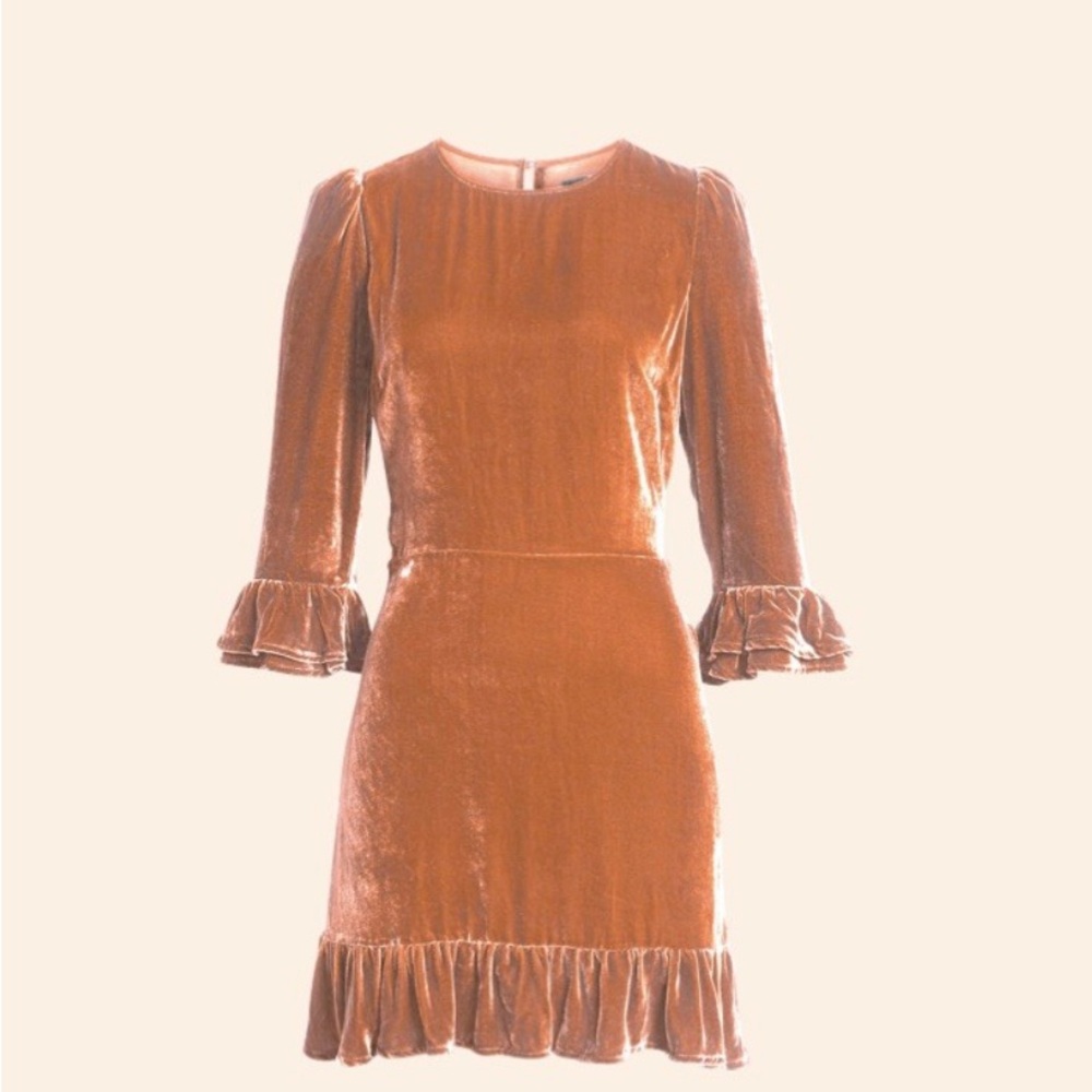 Elegant Reformation Mountain Velvet Dress